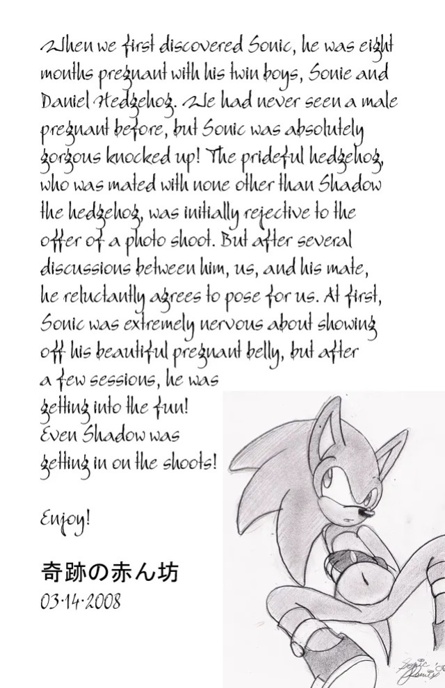 SonicRemix's Sonic Mpreg Art