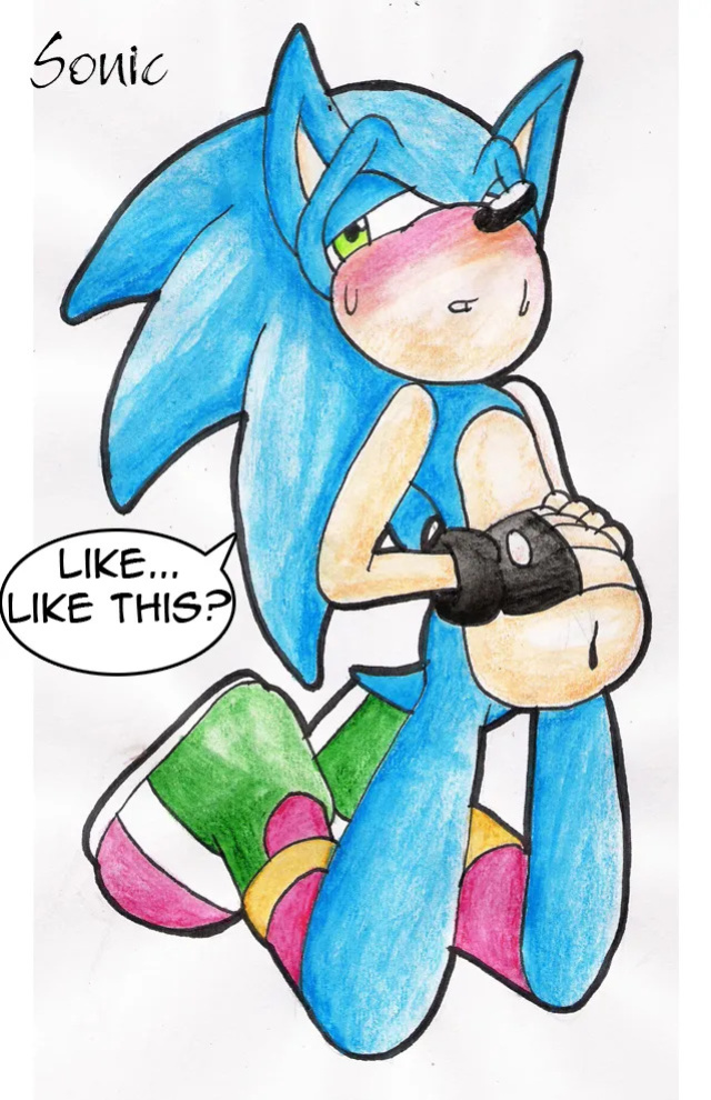 SonicRemix's Sonic Mpreg Art