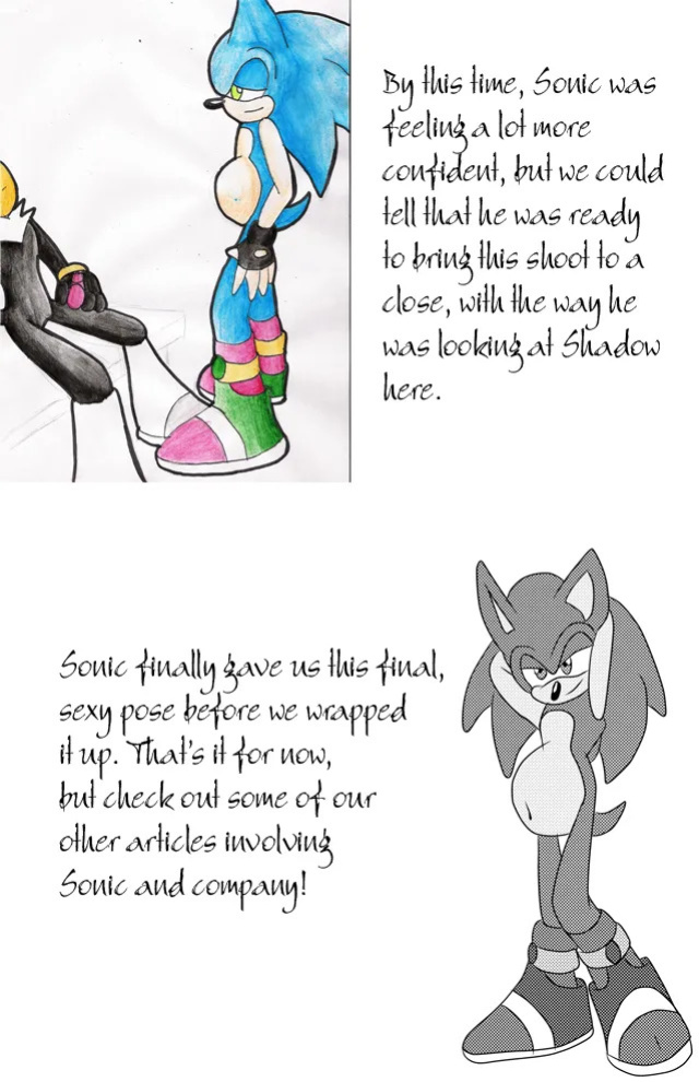 SonicRemix's Sonic Mpreg Art