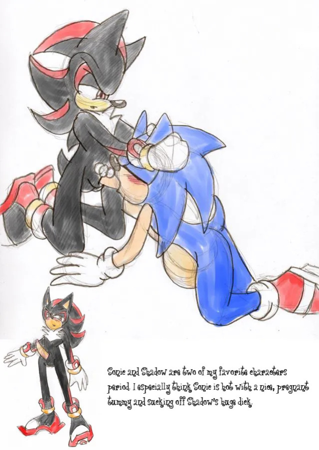SonicRemix's Sonic Mpreg Art