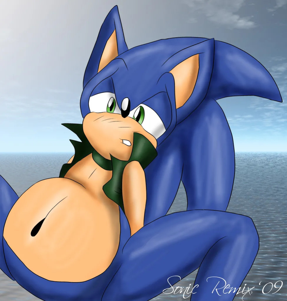 SonicRemix's Sonic Mpreg Art