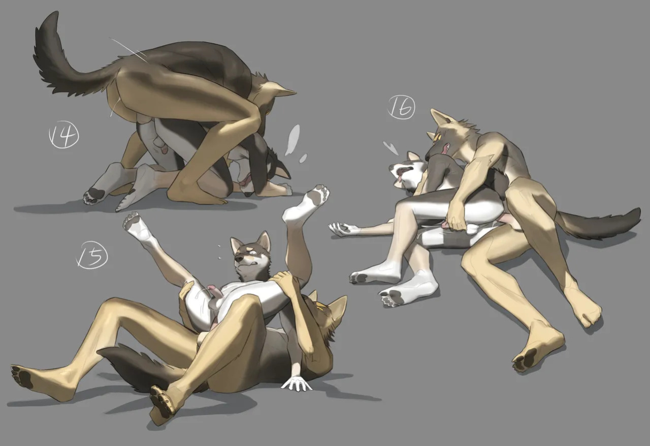 [x6udpngx] Shiba & Shepherd