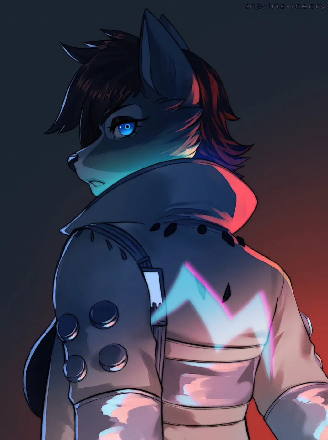 FA Gallery of Iris-Icecry