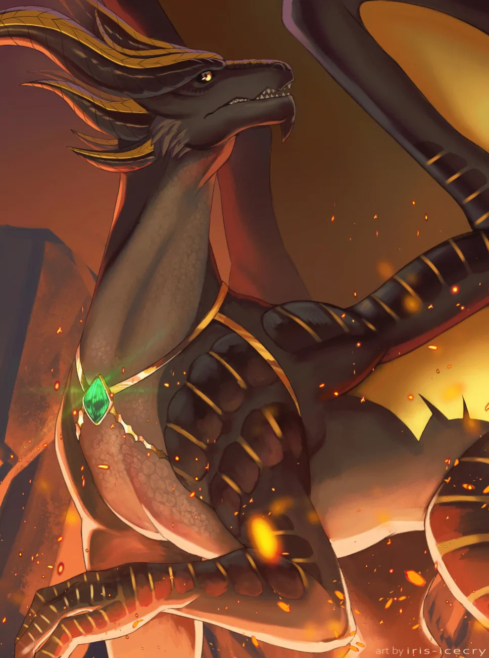 FA Gallery of Iris-Icecry