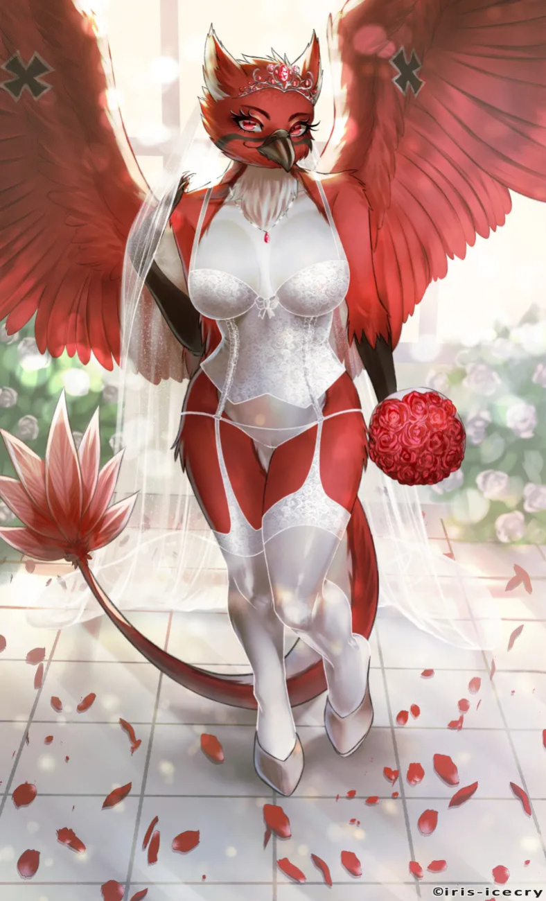 FA Gallery of Iris-Icecry