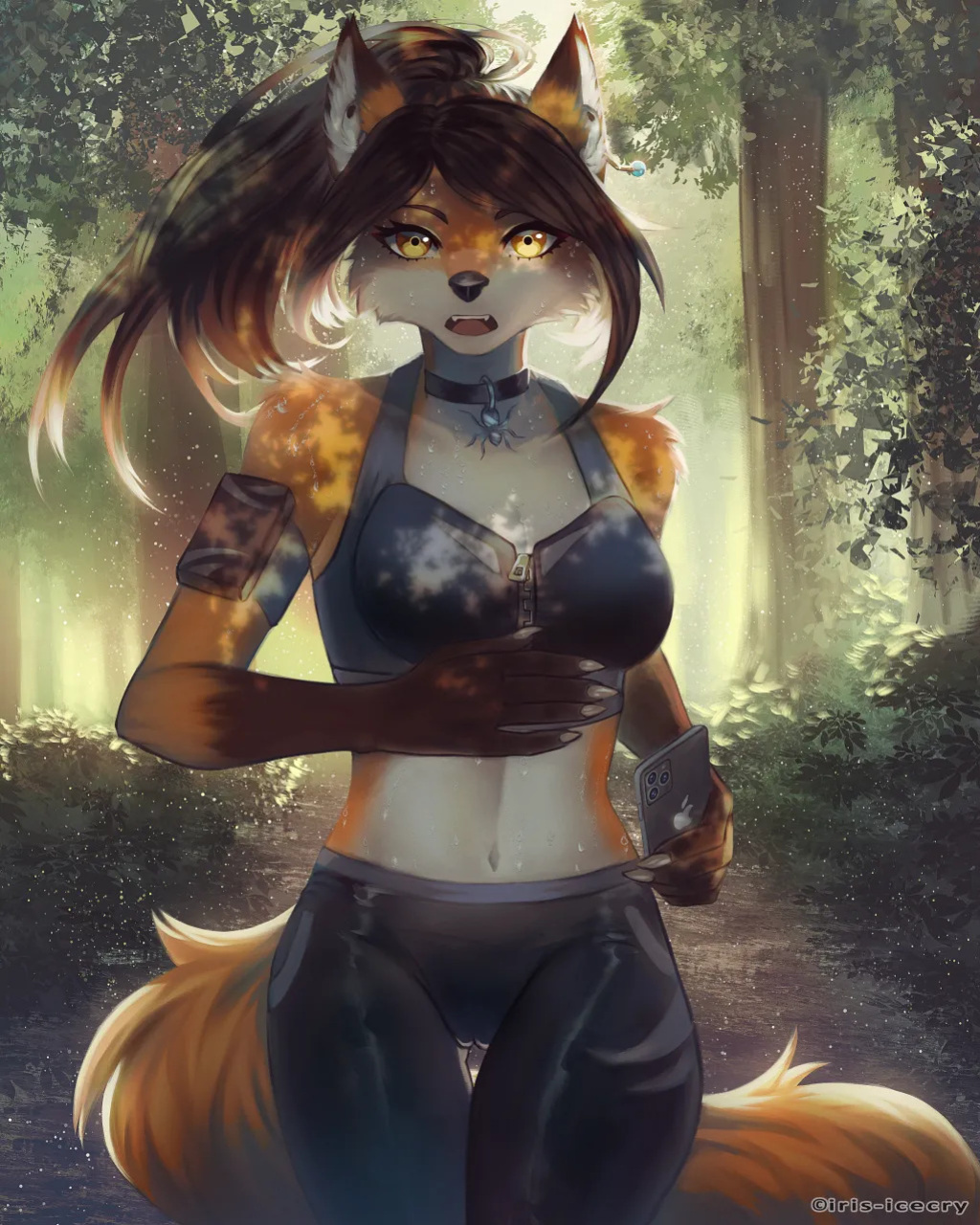 FA Gallery of Iris-Icecry