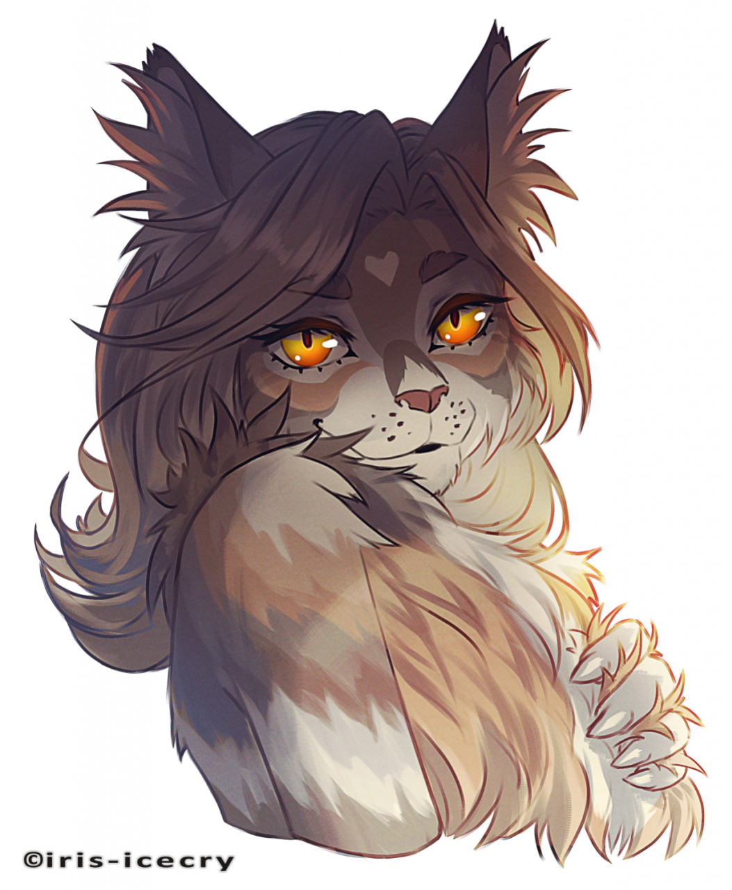 FA Gallery of Iris-Icecry
