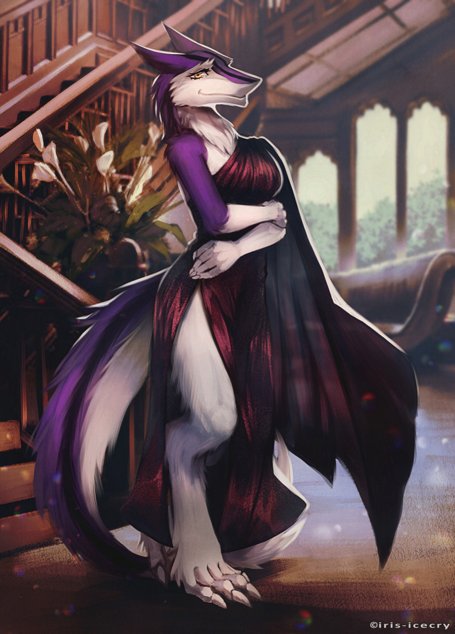 FA Gallery of Iris-Icecry