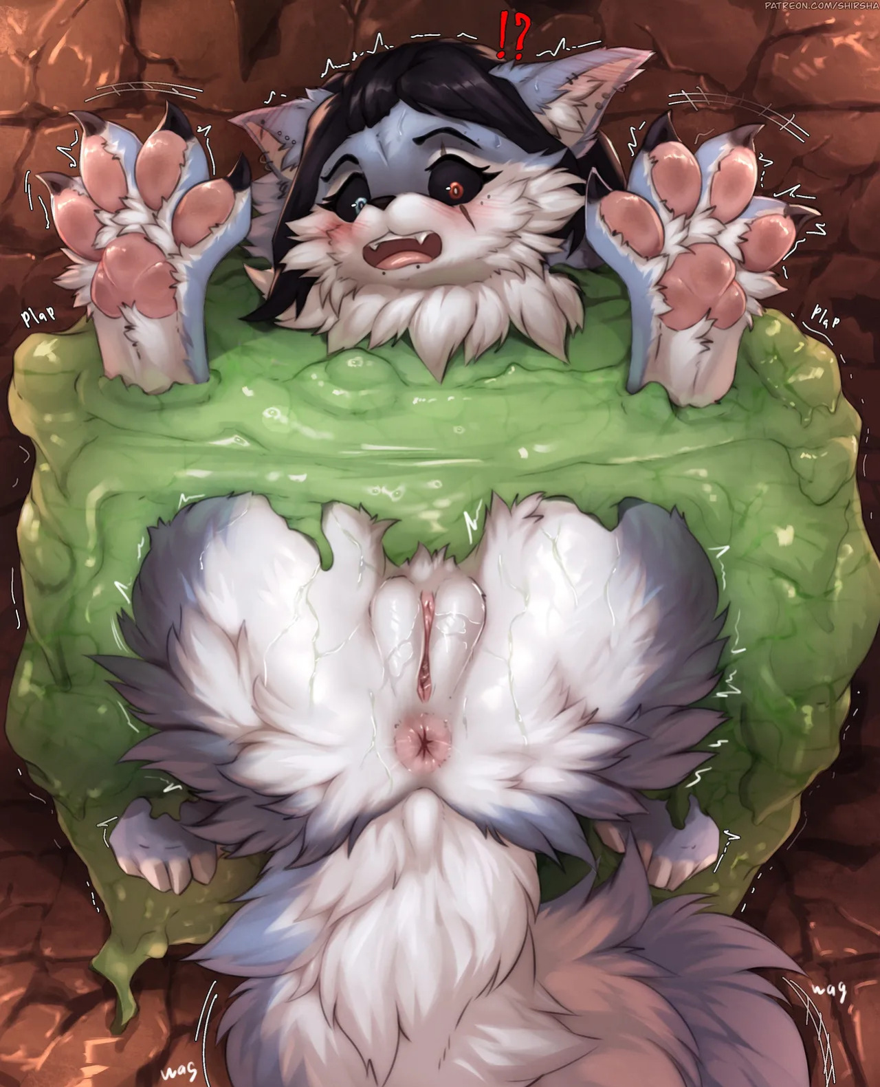 [Artist] Shirsha