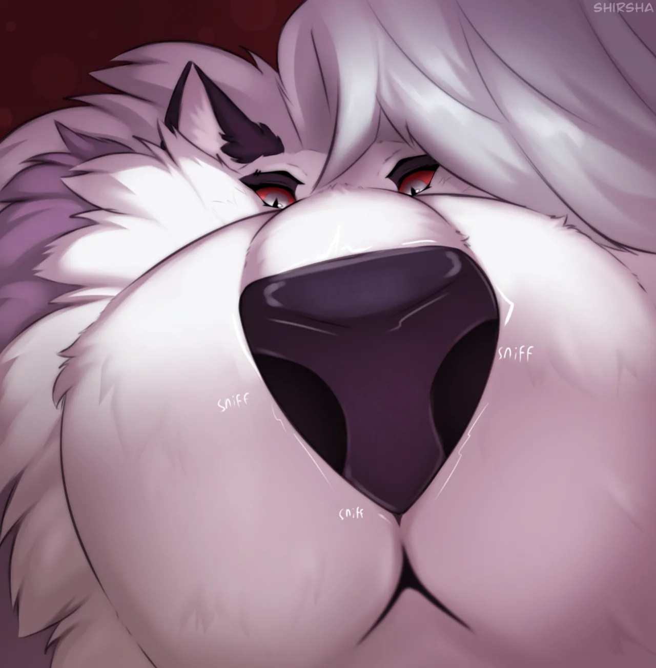 [Artist] Shirsha