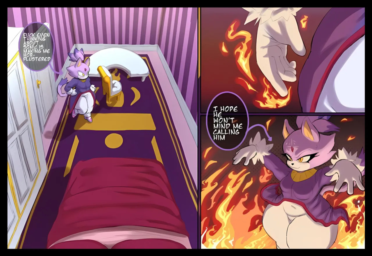 [SBlueartist] Blaze’s Big Surprise (Sonic the Hedgehog)