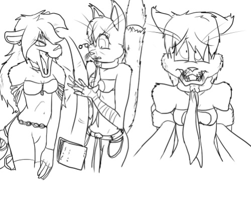 Pred Quest