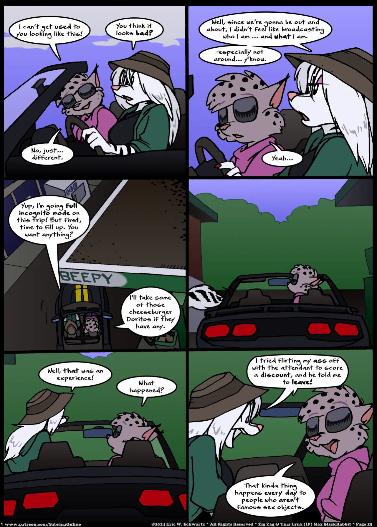 [Eric W. Schwartz] Sabrina Online - Stripes and Links