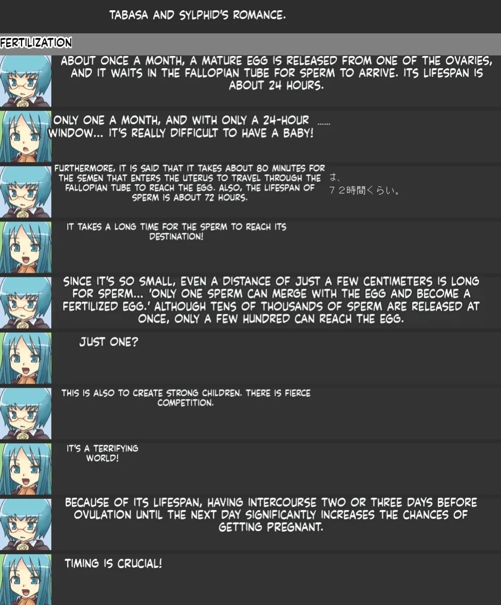 [Miyuuhodoh] Tabasa no Akachan te Doyatte Dekiruno? (The way Tabitha gives birth to a baby) (Zero no Tsukaima) (Eng MTL text)