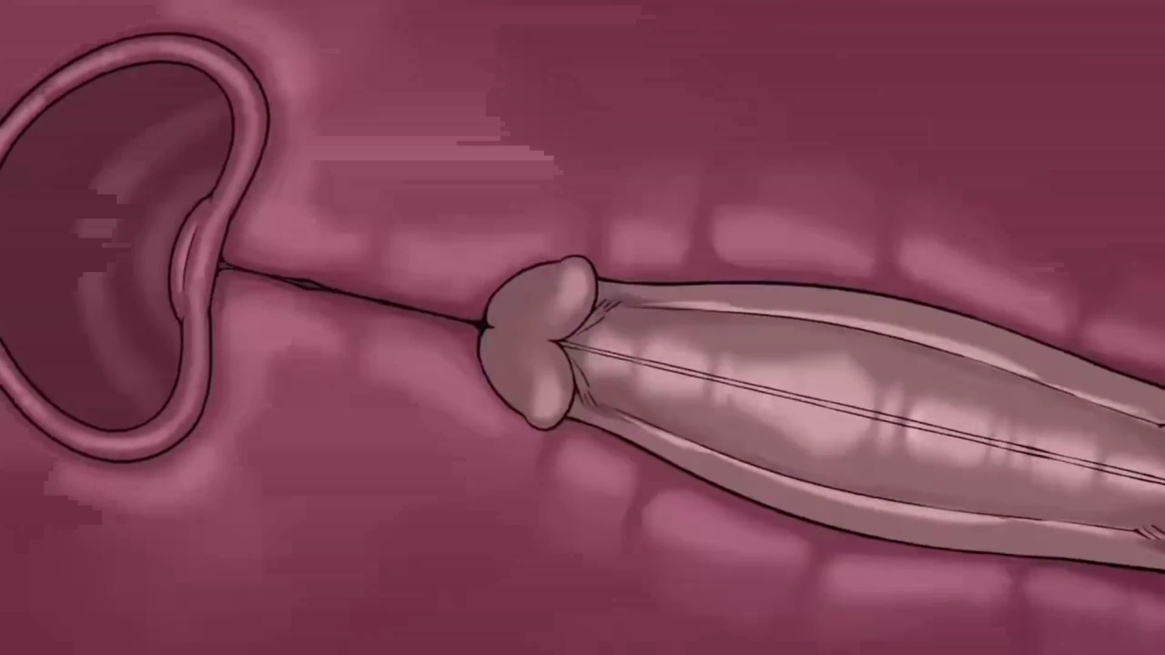 [TheNewPassion] A Night Alone (Deltarune) (Animated - WIPS) (Ongoing)
