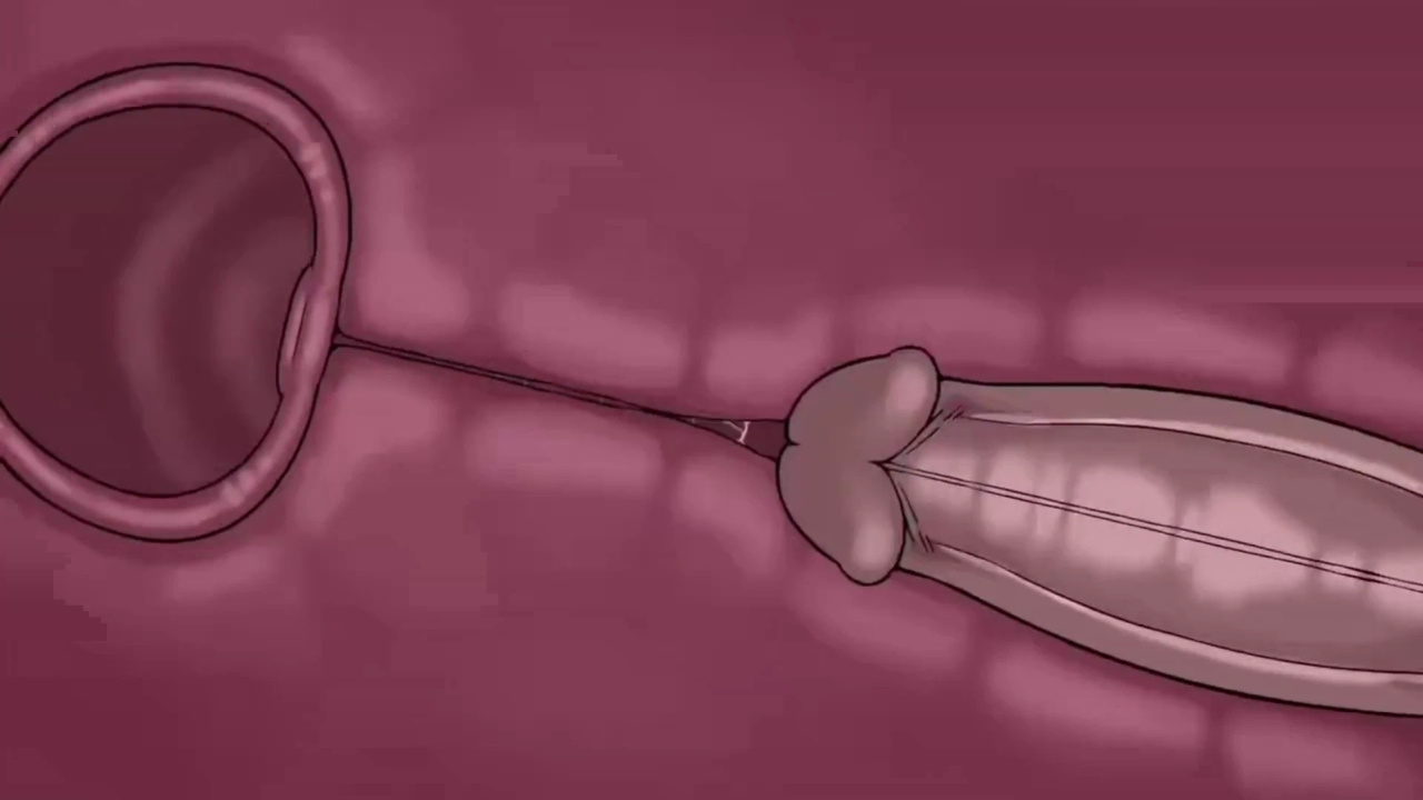 [TheNewPassion] A Night Alone (Deltarune) (Animated - WIPS) (Ongoing)