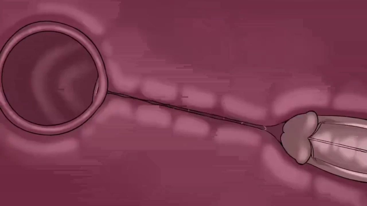 [TheNewPassion] A Night Alone (Deltarune) (Animated - WIPS) (Ongoing)
