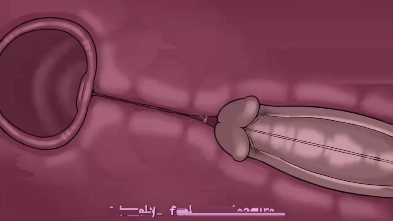 [TheNewPassion] A Night Alone (Deltarune) (Animated - WIPS) (Ongoing)