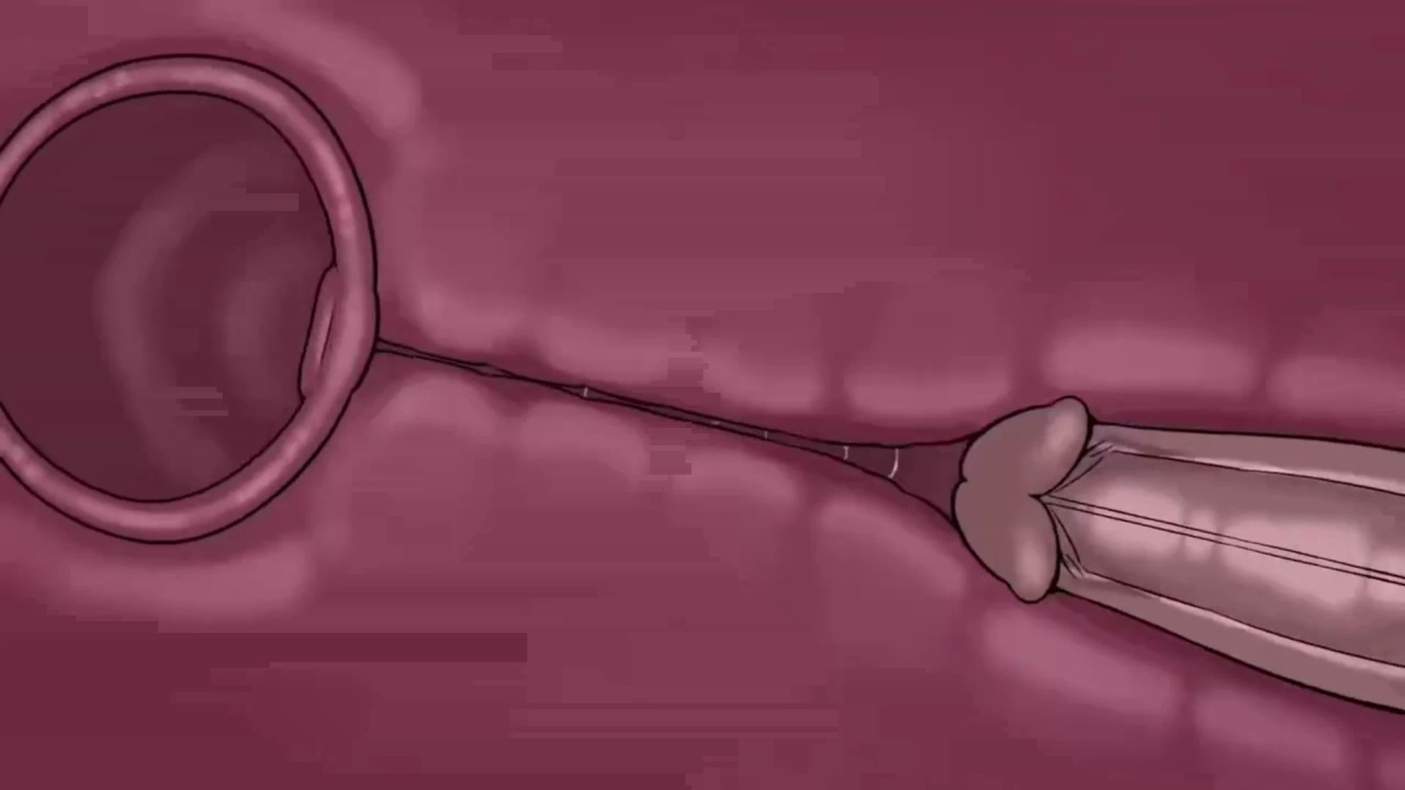 [TheNewPassion] A Night Alone (Deltarune) (Animated - WIPS) (Ongoing)