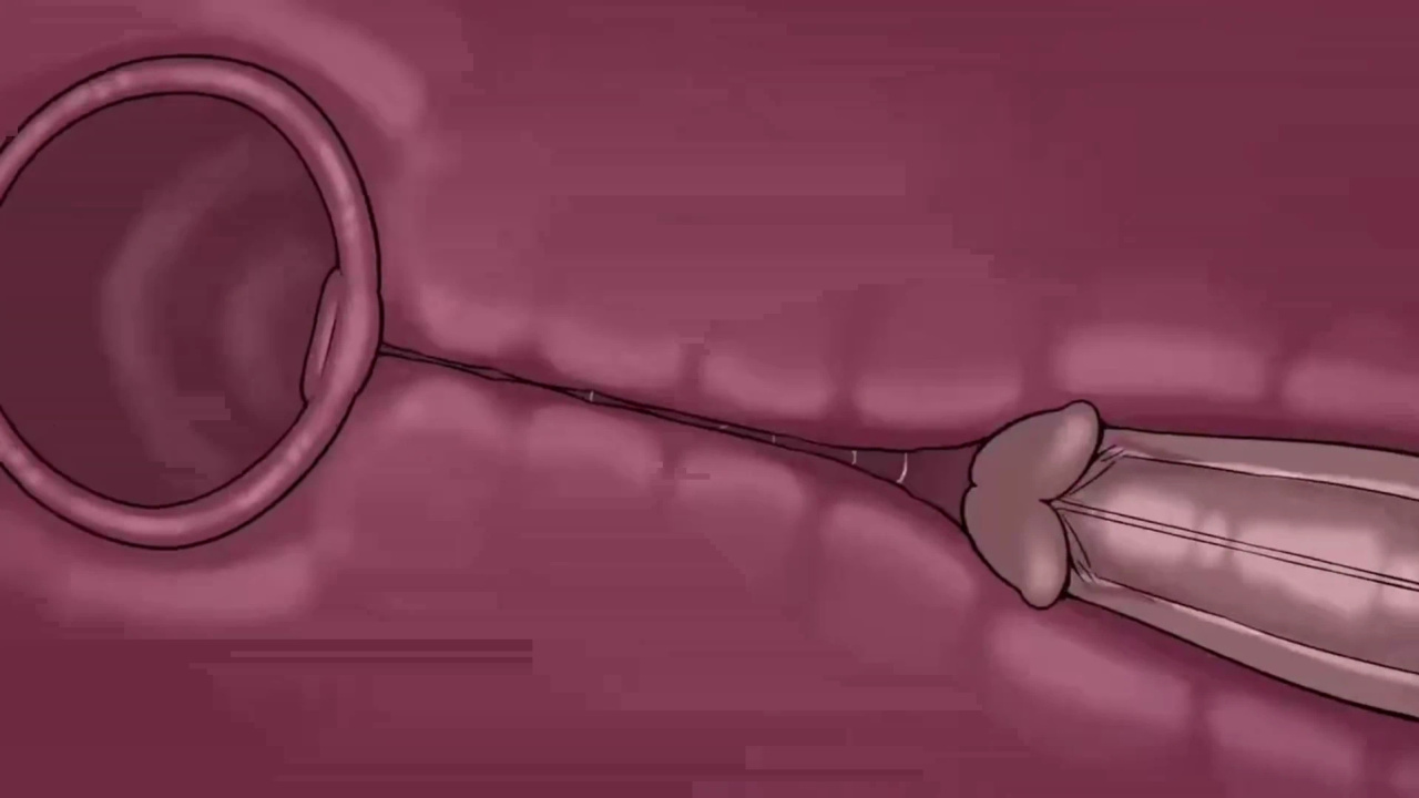 [TheNewPassion] A Night Alone (Deltarune) (Animated - WIPS) (Ongoing)