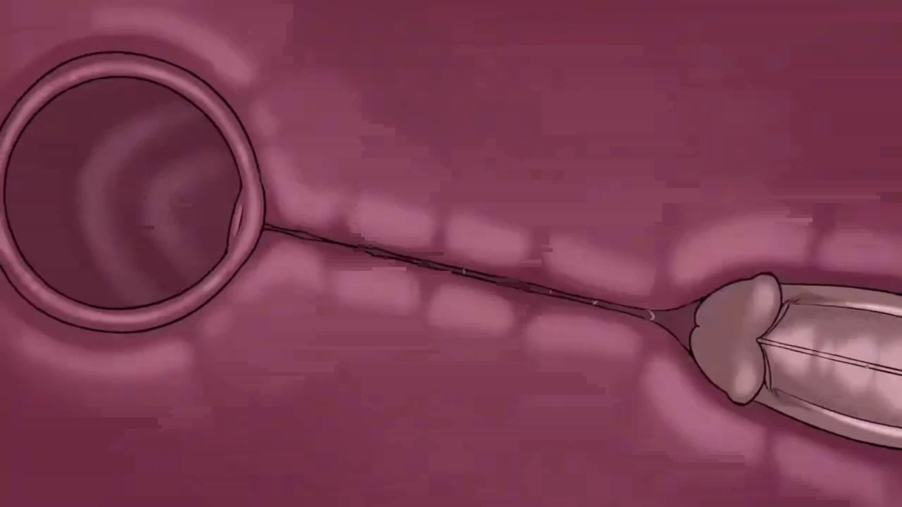 [TheNewPassion] A Night Alone (Deltarune) (Animated - WIPS) (Ongoing)