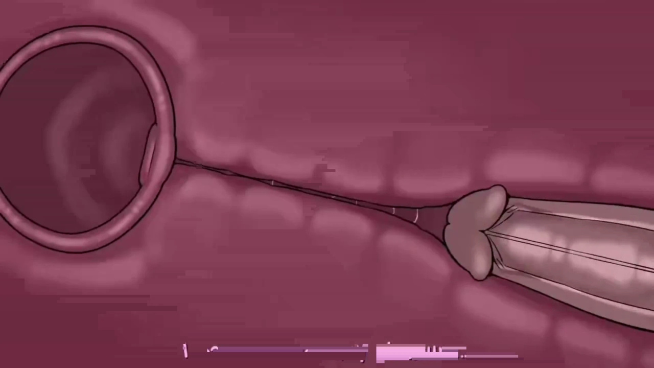 [TheNewPassion] A Night Alone (Deltarune) (Animated - WIPS) (Ongoing)