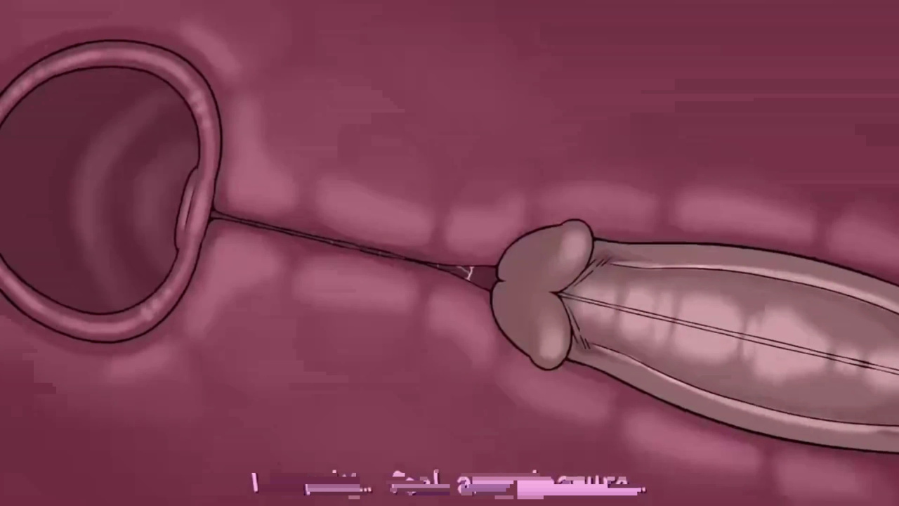 [TheNewPassion] A Night Alone (Deltarune) (Animated - WIPS) (Ongoing)