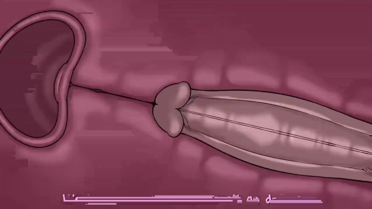 [TheNewPassion] A Night Alone (Deltarune) (Animated - WIPS) (Ongoing)