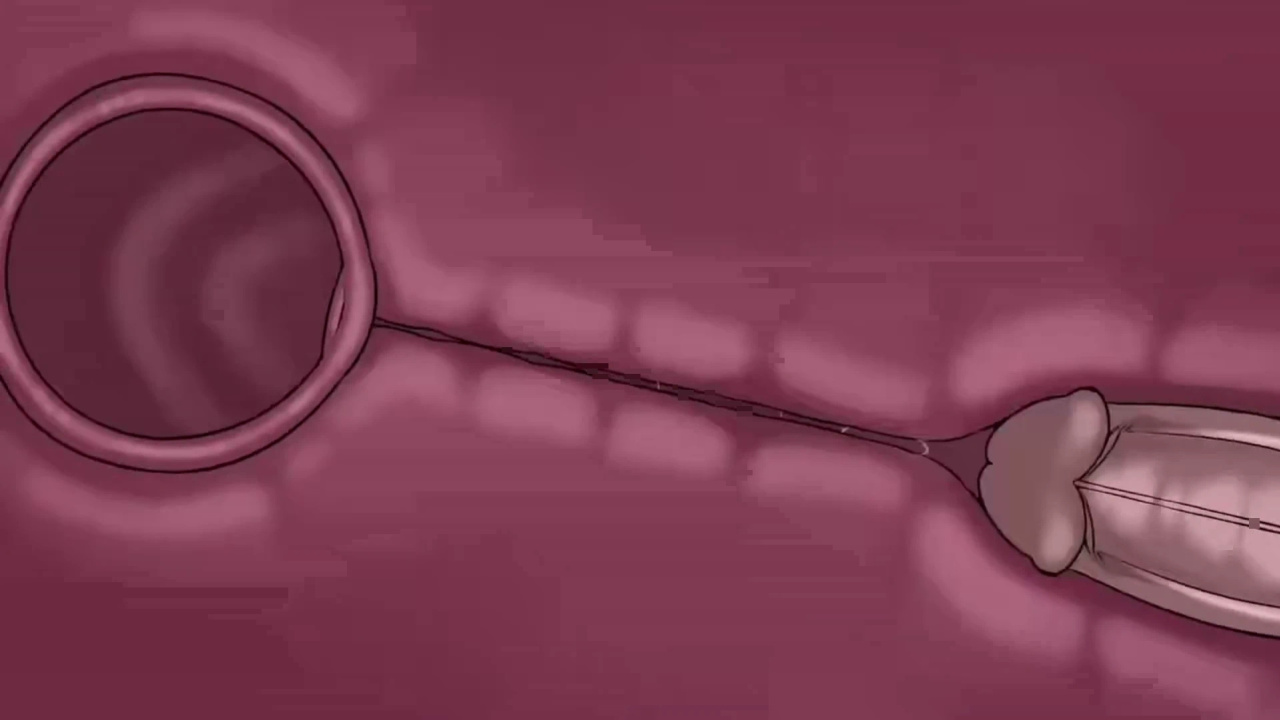 [TheNewPassion] A Night Alone (Deltarune) (Animated - WIPS) (Ongoing)
