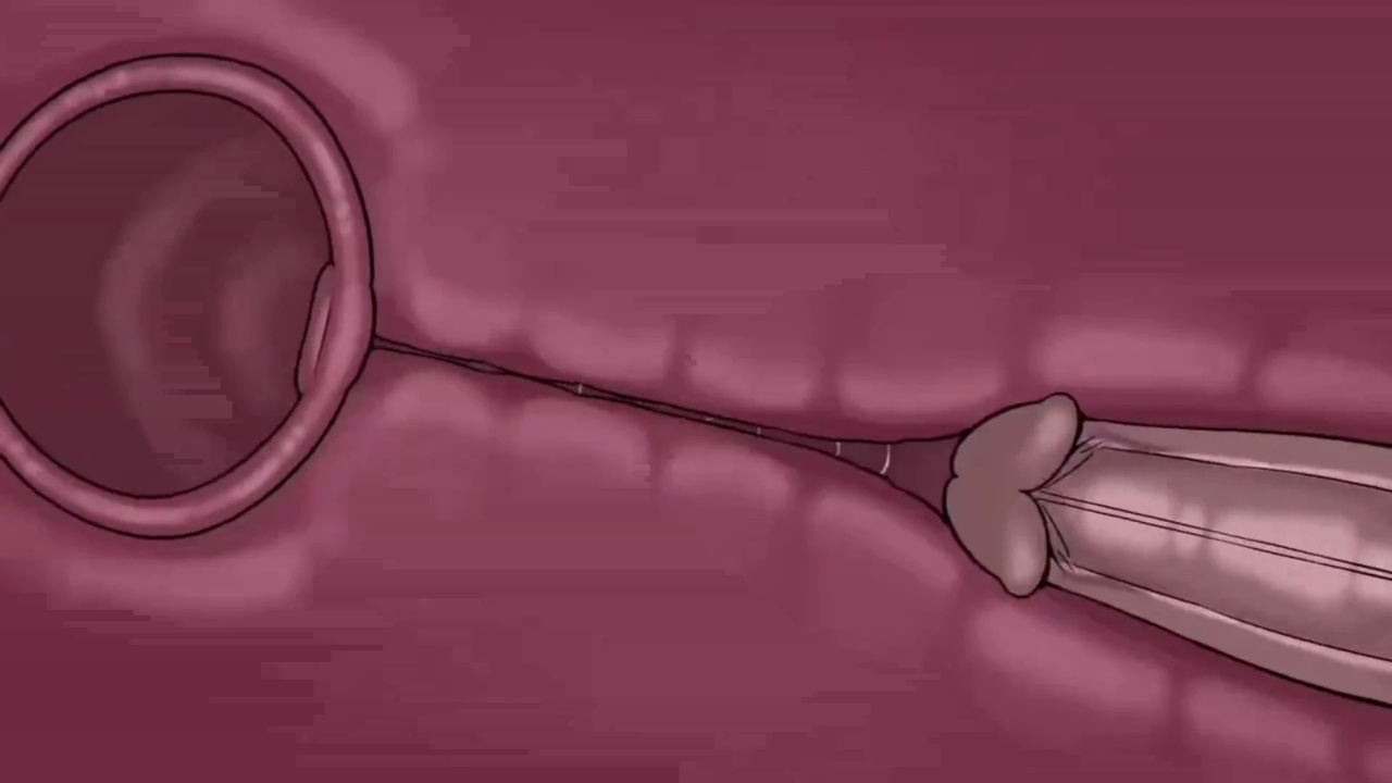 [TheNewPassion] A Night Alone (Deltarune) (Animated - WIPS) (Ongoing)