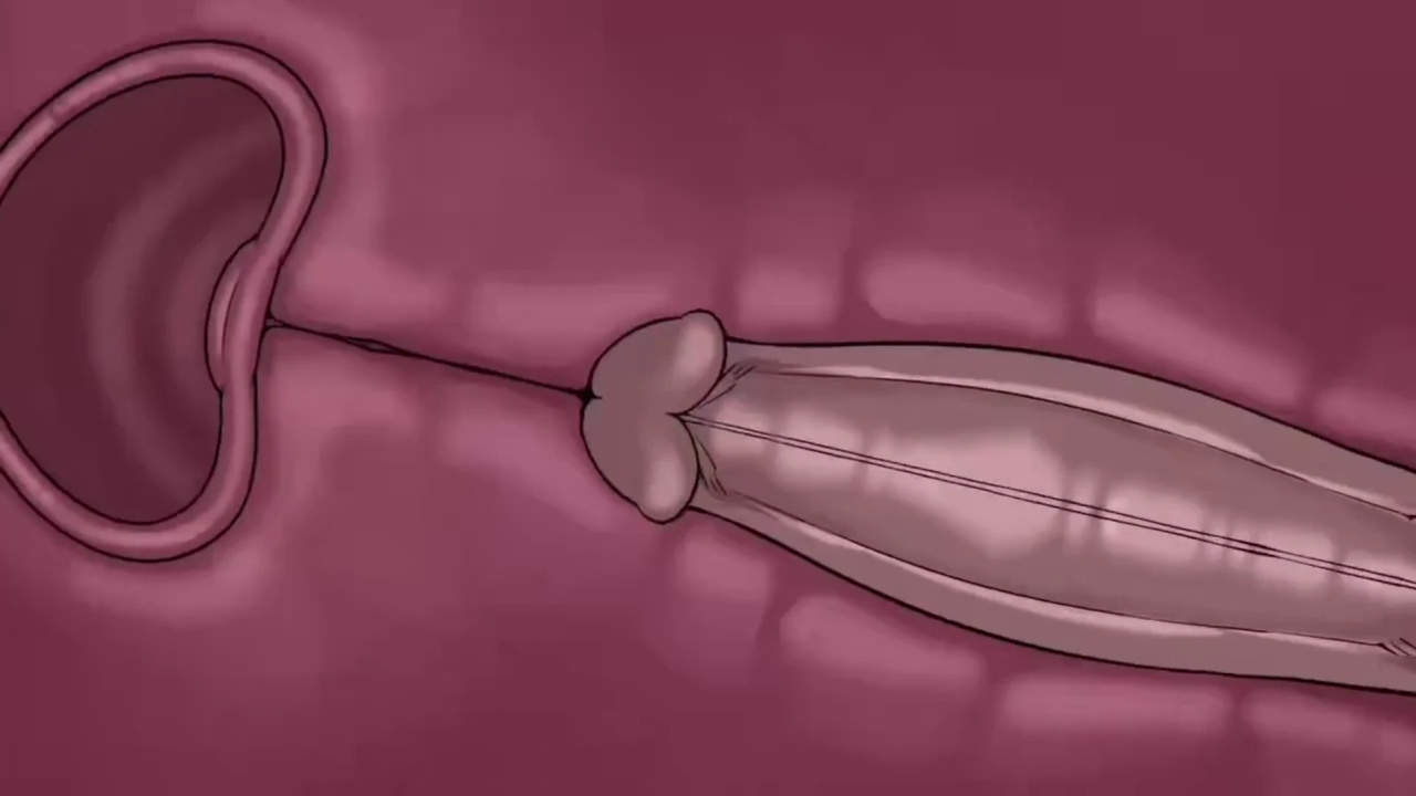 [TheNewPassion] A Night Alone (Deltarune) (Animated - WIPS) (Ongoing)