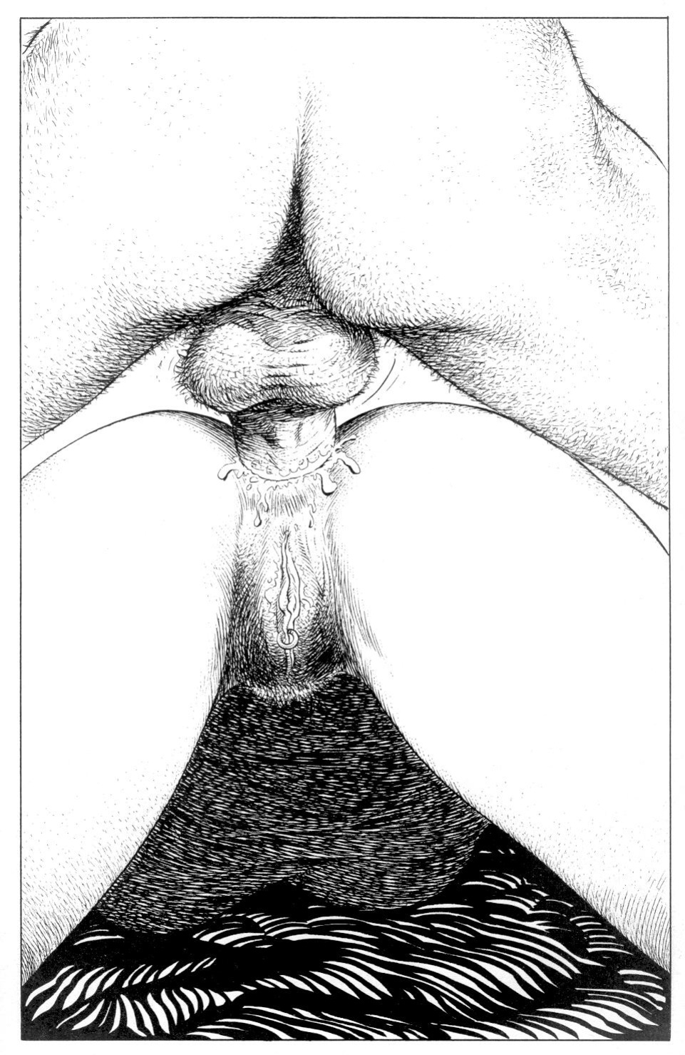 [Tayyar Ozkan] Fleshpot