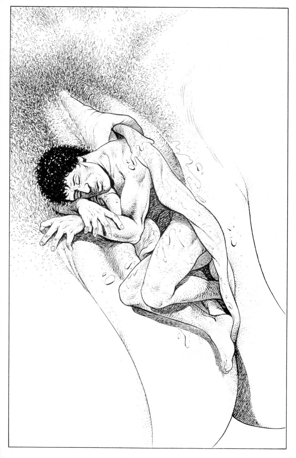 [Tayyar Ozkan] Fleshpot