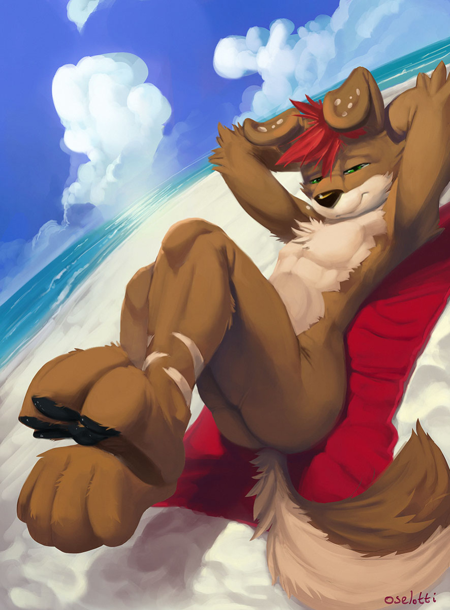 [Furaffinity] Oselotti