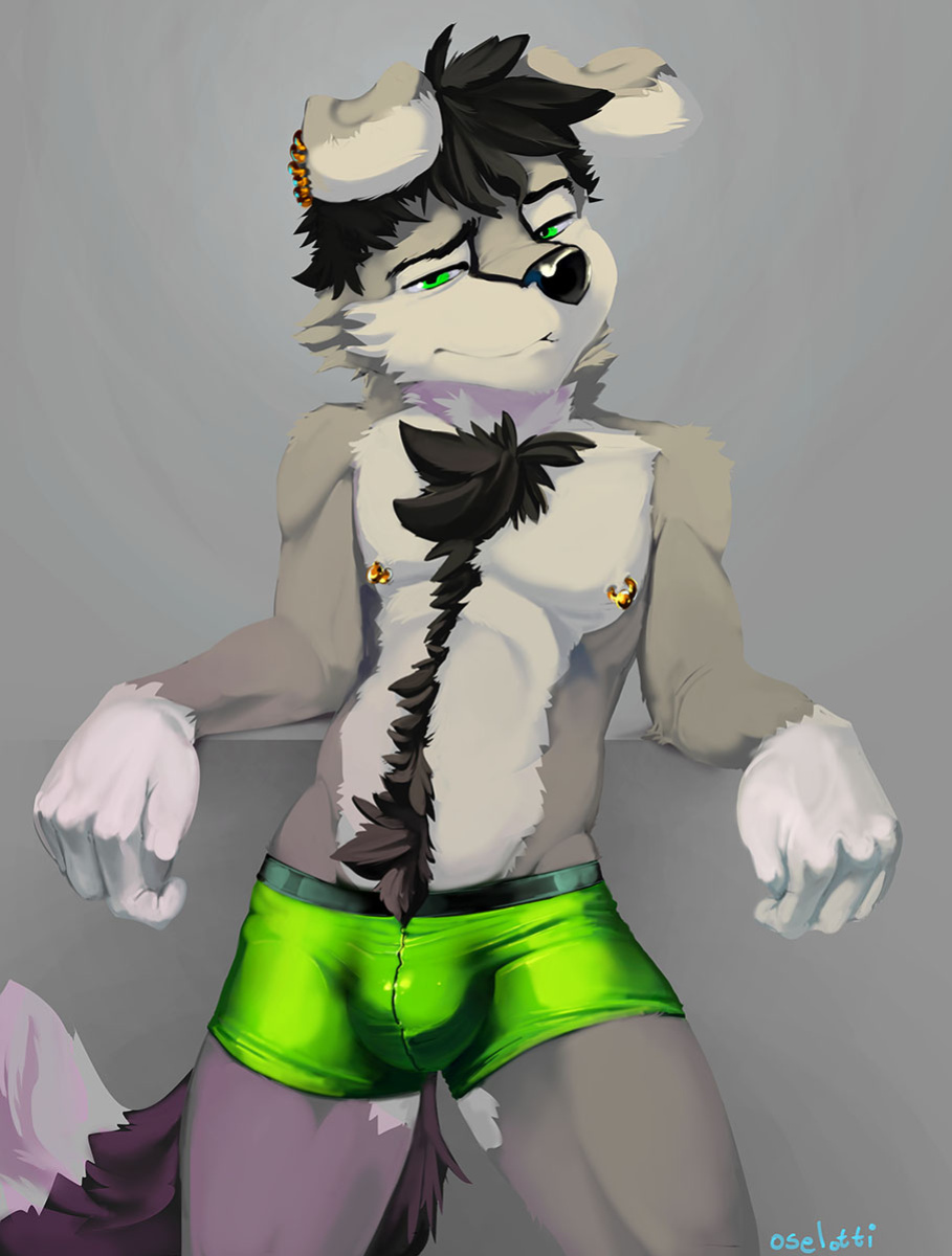 [Furaffinity] Oselotti