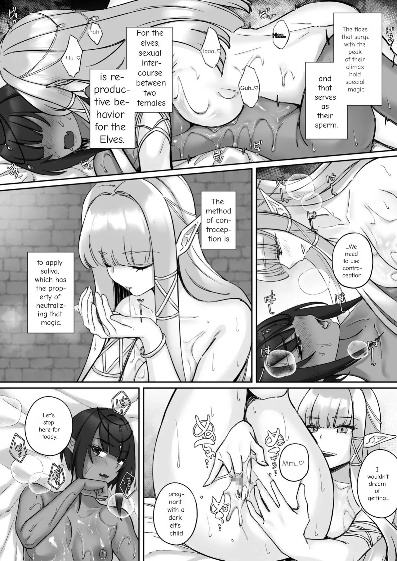 [Seika Kairaku Shoten (Chocomint)] The Fall of the Elves: Imprinting Lewd Marks on Elves and Turning Them into Lesbians [Digital Download Version]