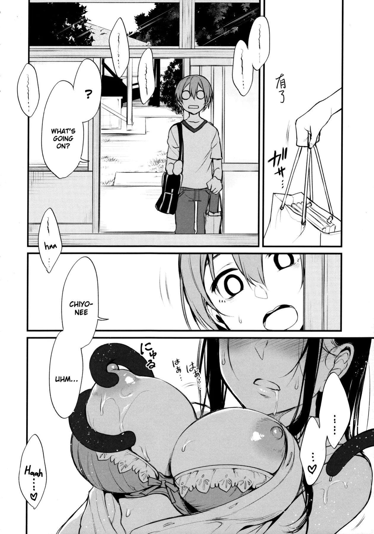 Ane Naru Mono 1-11