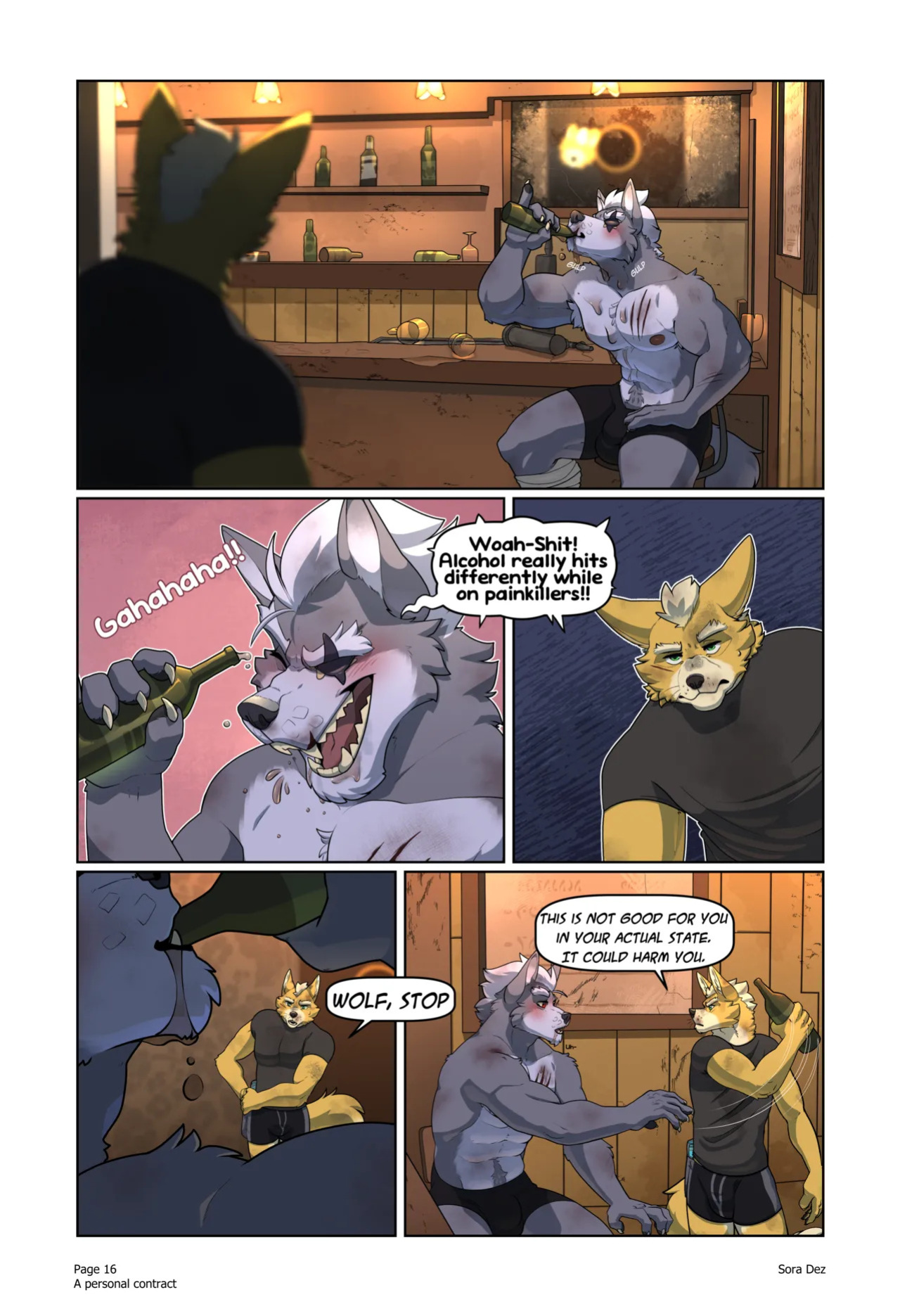 [Sora Dez WolFox] A Personal Contract (Ongoing)