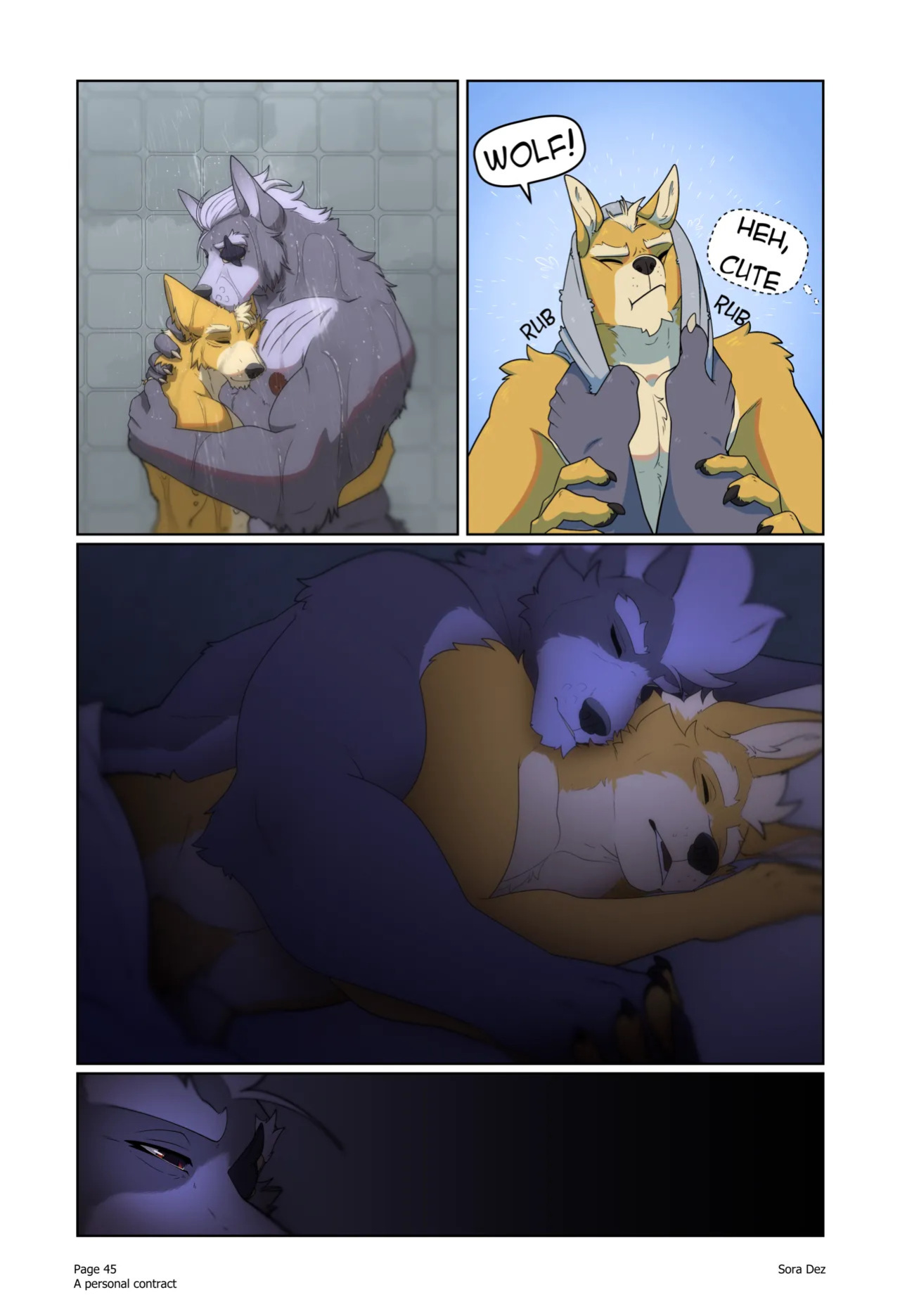[Sora Dez WolFox] A Personal Contract (Ongoing)