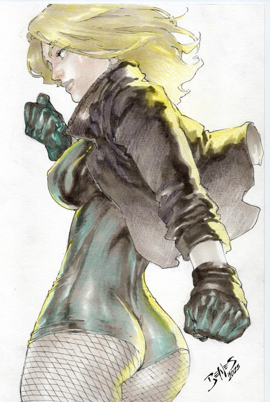 Ed Benes Original Art