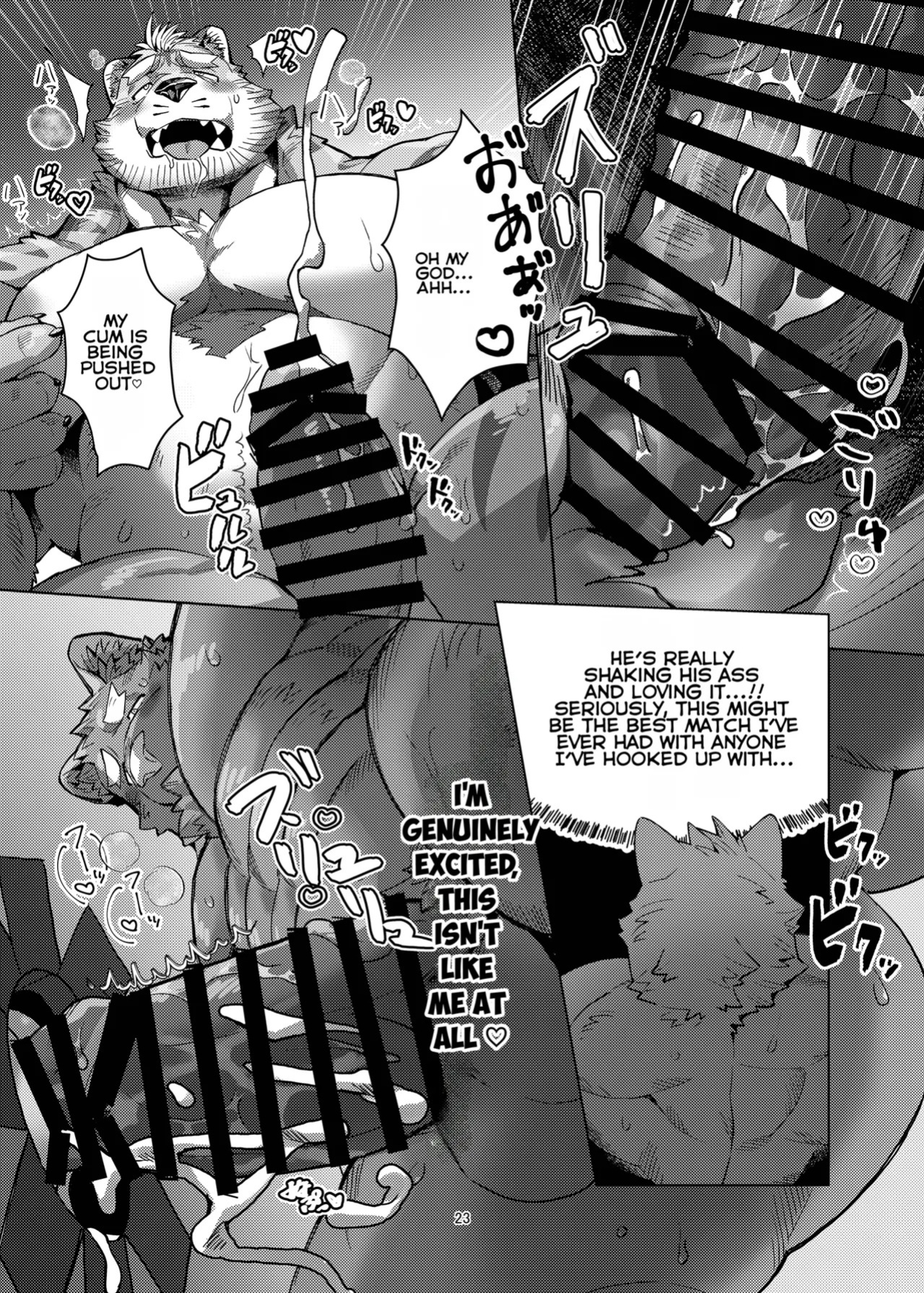 [Seikei] A racoon dog in one hole [English]