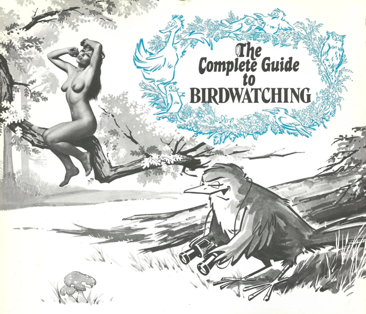 The Complete Guide to Birdwatching
