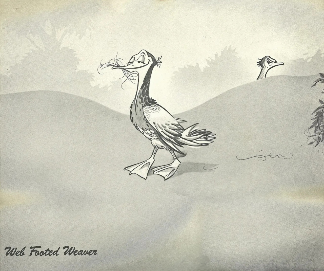 The Complete Guide to Birdwatching