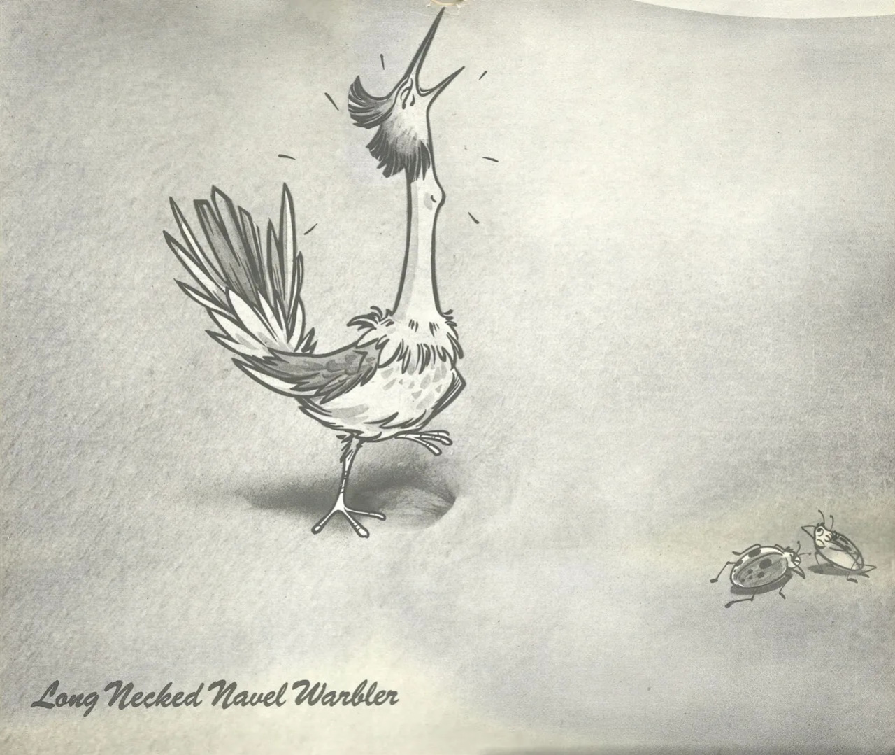 The Complete Guide to Birdwatching