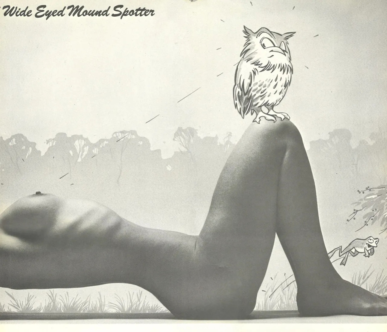 The Complete Guide to Birdwatching