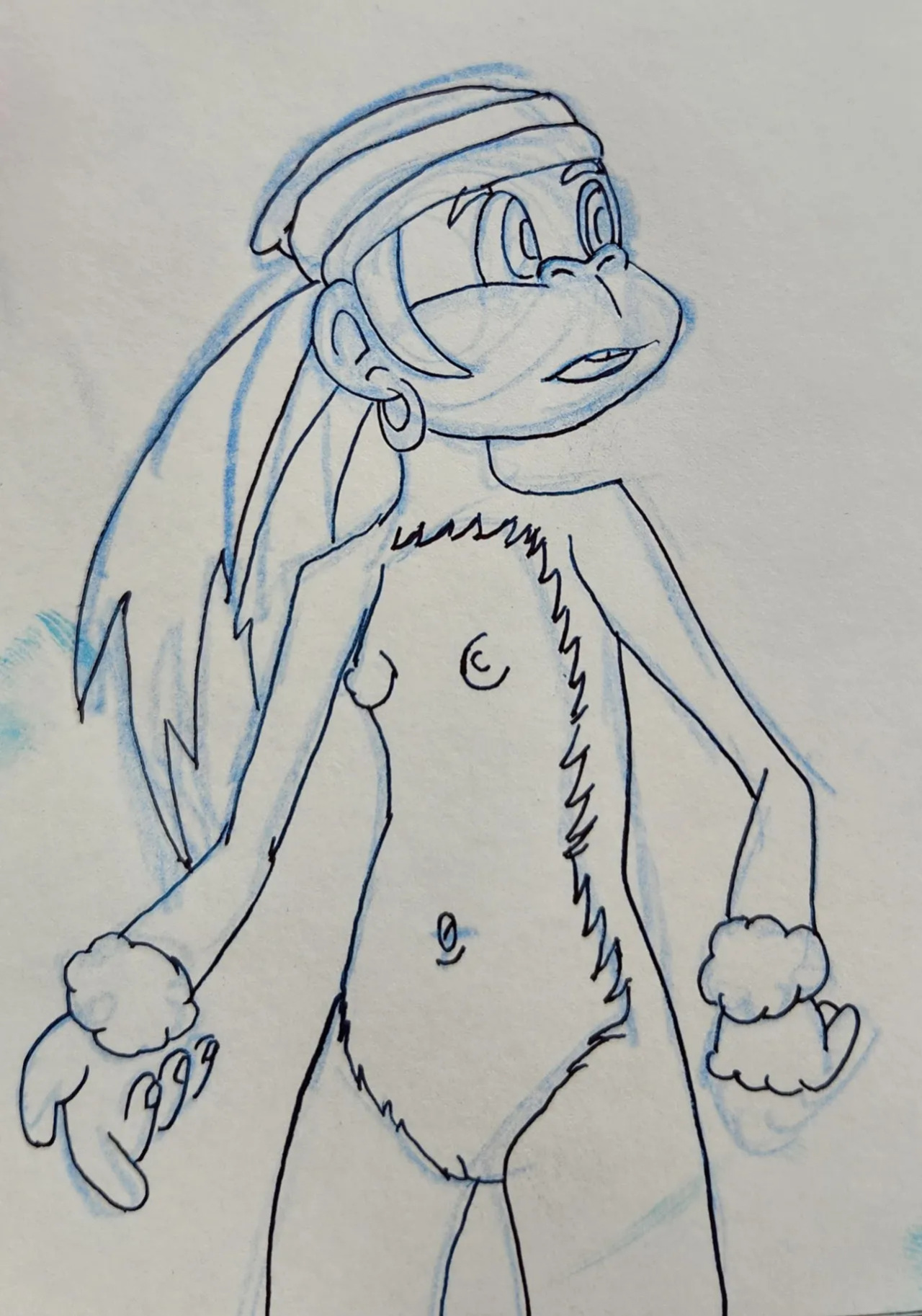 Donkey Kong Girls