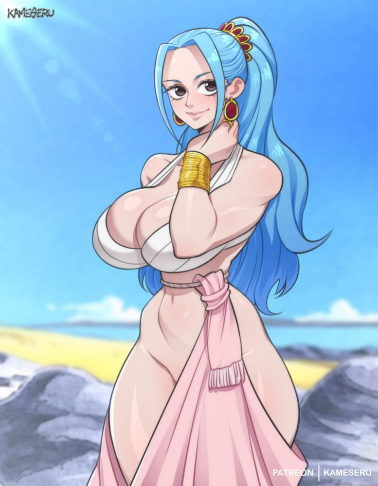 [Kameseru] One Piece Collection