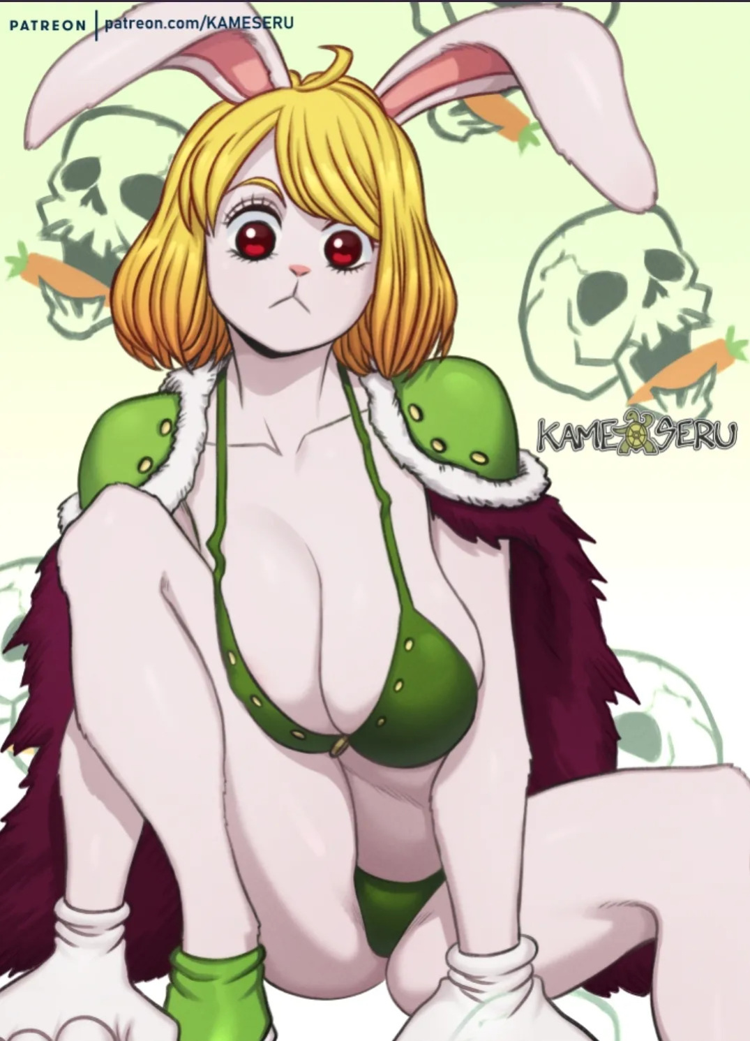 [Kameseru] One Piece Collection