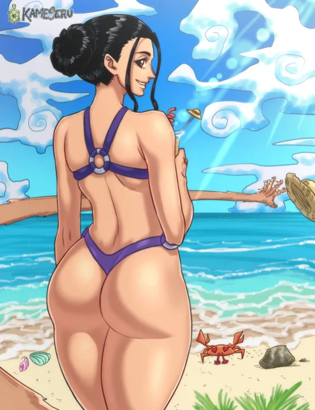 [Kameseru] One Piece Collection