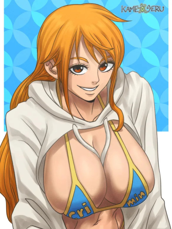[Kameseru] One Piece Collection
